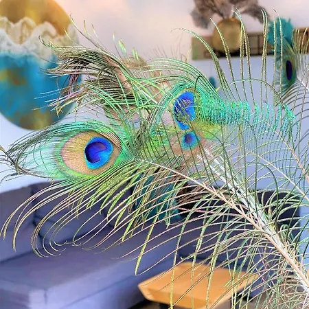 Boulevard Σπίτι διακοπών Egmond aan Zee