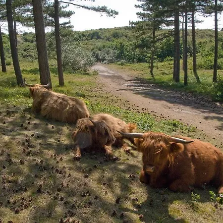 Boulevard Σπίτι διακοπών Egmond aan Zee
