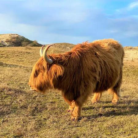 Boulevard Casa de Férias *